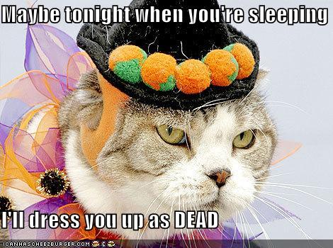 funny-pictures-cat-will-kill-you-for-dressing-him-up